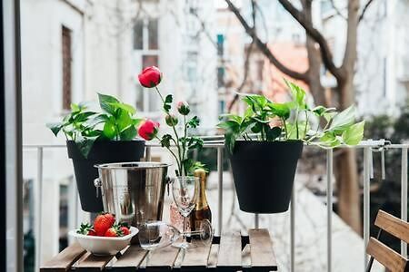 Flores Home Bari Dış mekan fotoğraf